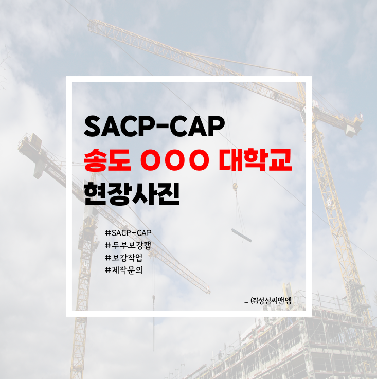 송도ㅇㅇ대학교 썸네일.png